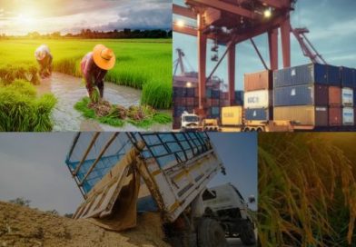จดหมายข่าว (E-Newsletter) สมาคมเศรษฐศาสตร์เกษตรแห่งประเทศไทย ในพระบรมราชูปถัมภ์ ปีที่ 7 ฉบับที่ 3